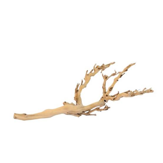 Exo Terra Forest Branch Repltile Wood Exo Terra Small
