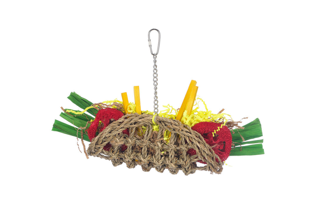 8396 - Seagrass Taco Bird Toy Sky