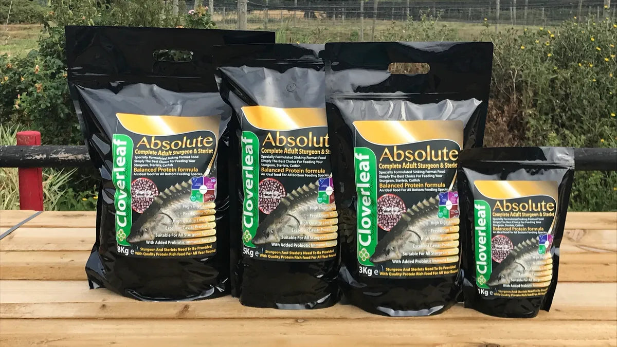 Cloverleaf Absolute Complete Adult Sturgeon and Sterlet Sinking Pellets the Pet MARKET