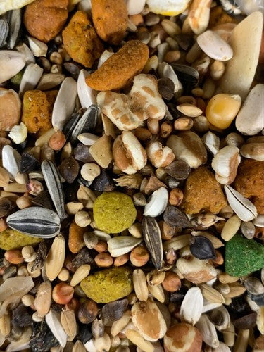 Countrywide VAM Parrot bird feed with low sunflower mix, showing colorful bird seed blend in a clear bag.