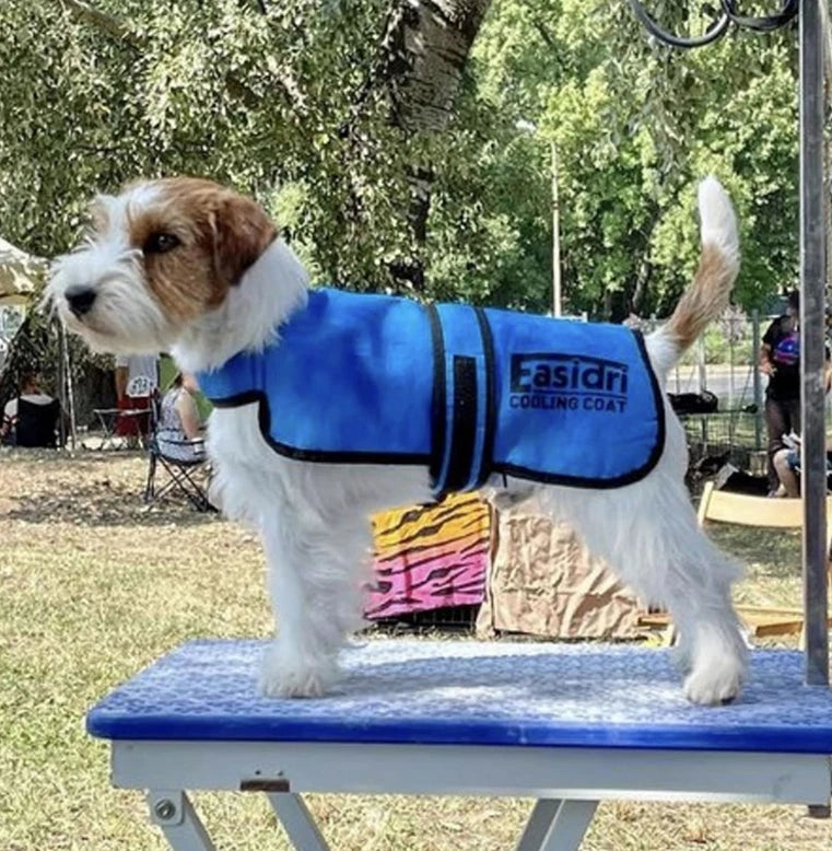 Easidri Cooling Dog Coat large the Pet MARKET