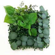 Betta Terra Eucalyptus Garden Mat 25cm x 25cm Reptile Decor Betta