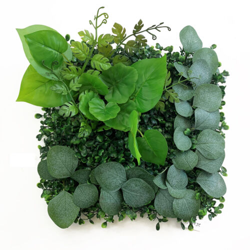 Betta Terra Eucalyptus Garden Mat 25cm x 25cm Reptile Decor Betta