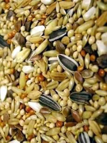 Countrywide Australian Grass Parakeet & Lovebird Mix Bird feed Country Wide