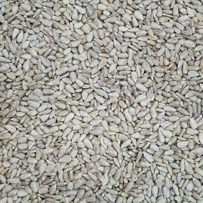 Sunflower hearts