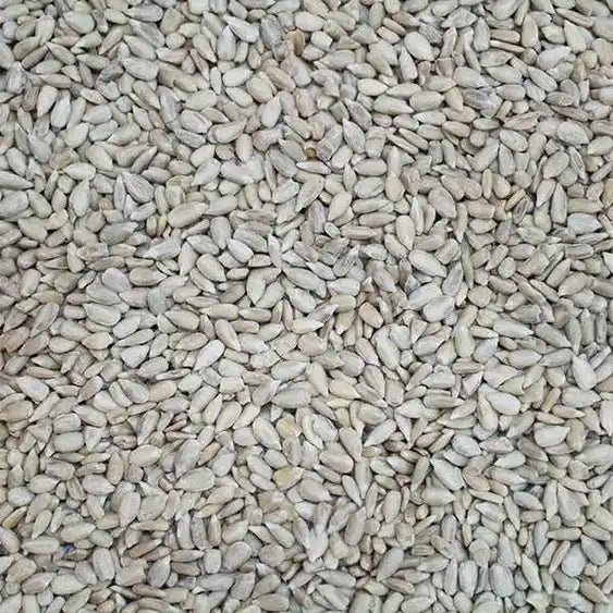 Sunflower hearts Bird feed Johnston & Jeff