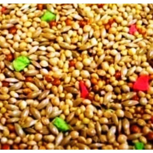 Countrywide Supreme Budgie bird feed with orange oil and biscuit, showing a colorful budgie perched on a seed mix.