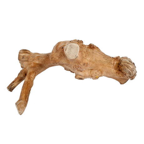 Java Reptile Branch Small (4250) Decor Sky