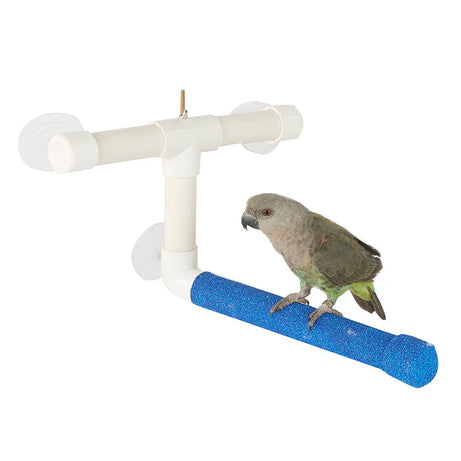 Window & Shower Perch Small (7741) Bird Perch Sky