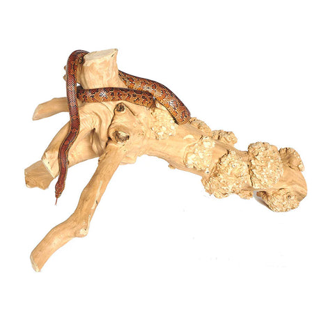 Java Reptile Branch Large (4252) Decor Sky