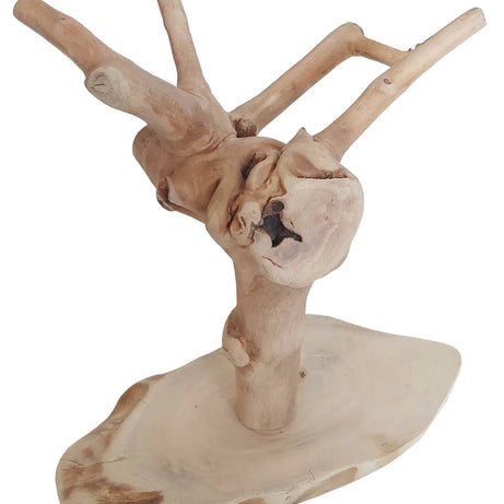 Java Tiny Tree (4269) Bird Perch Sky