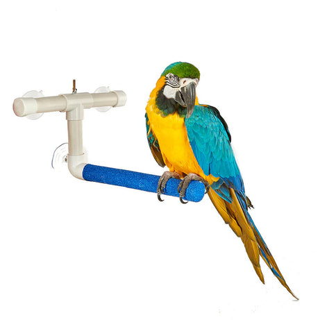 Window & Shower Perch Large (7742) Bird Perch Sky