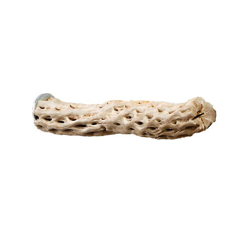Cactus Perch Large (7638) Bird Toy Sky