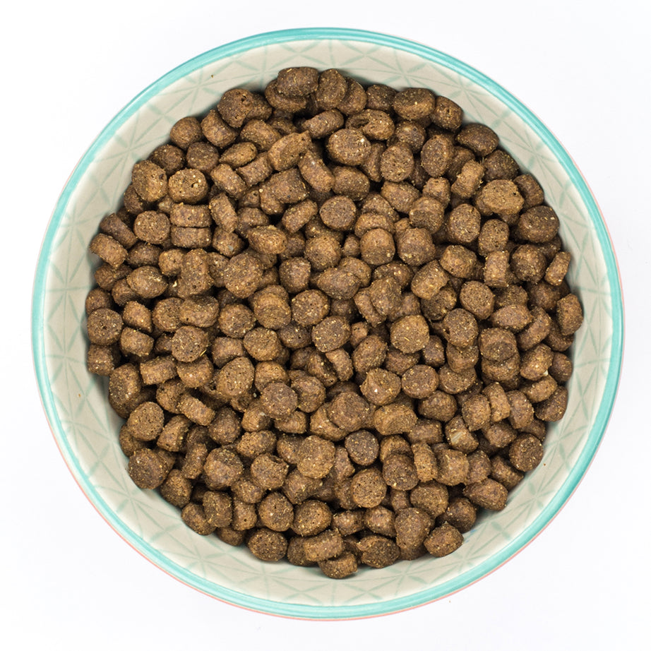 Burns Senior+ Toy & Small Breed Chicken & Brown Rice Dry Complete kibble Burns