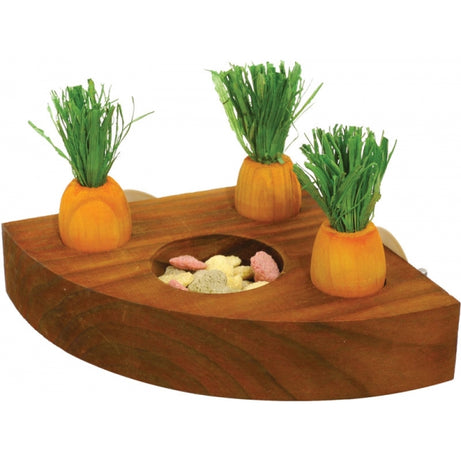 Carrot Toy 'n' Treat Holder Small animal toy Rosewood