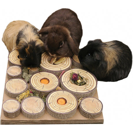 Maze-A-Log Treat Challenge Small animal toy Rosewood