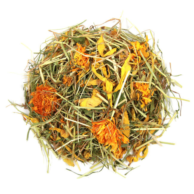 Hay n Play Mint Small animal treat Nature's Own