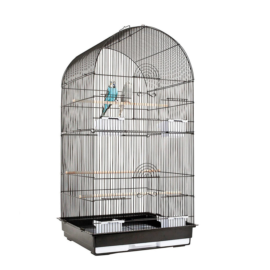 1900 - Caracus Black Cage Bird Cage Sky