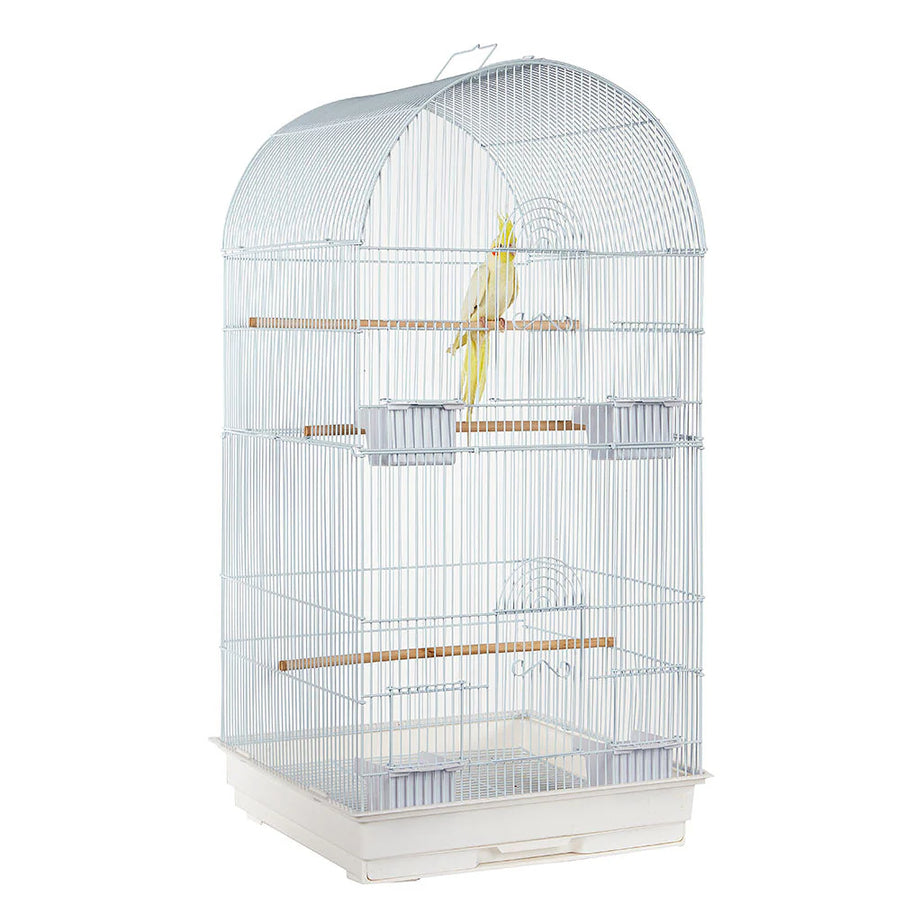 1950 - Caracus White Cage Bird Cage Sky