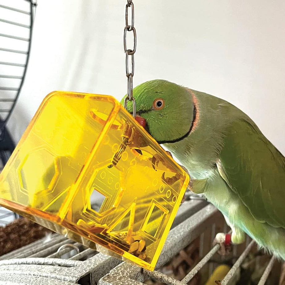 Treasure Box Foraging Toy - 343298 Bird Toy Northern Parrots