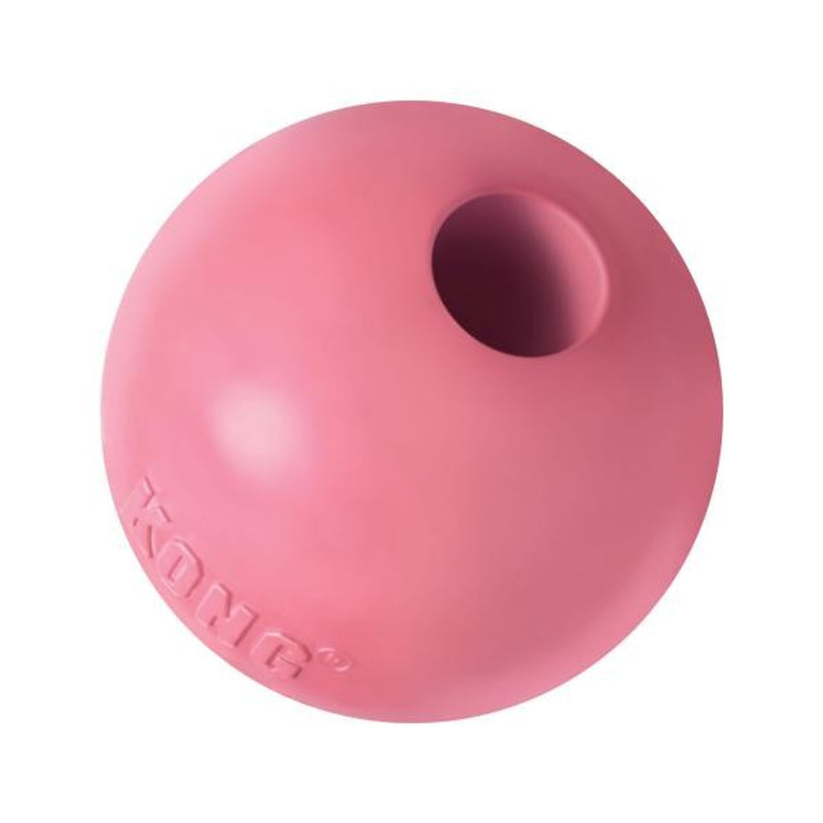 Kong puppy ball Kong