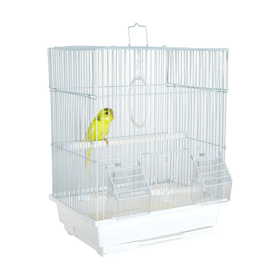 1895 - Santa Cruz Cage Bird Cage Sky
