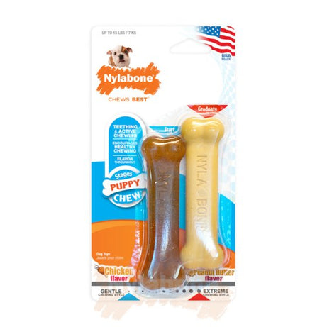 Nylabone Puppy twin pack petite Nylabone