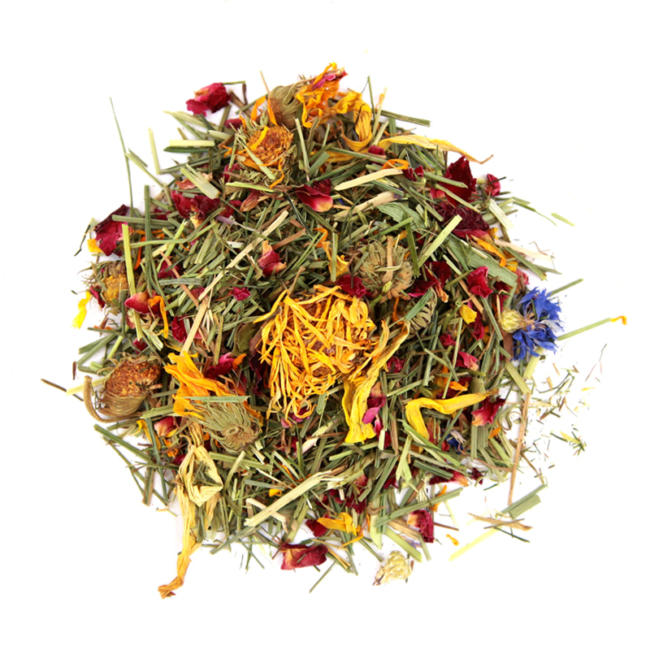 Grazing Tray Cornflower Small animal treat Nature's Own