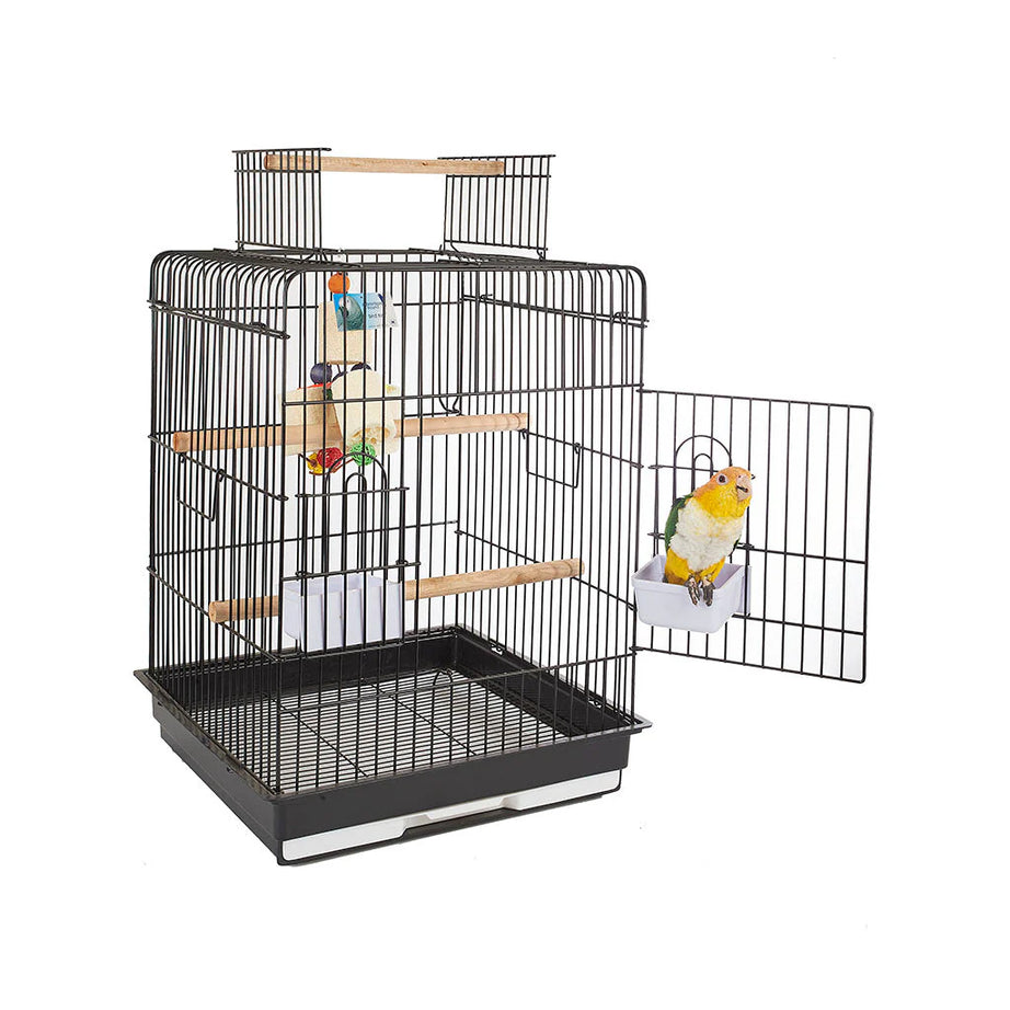 1702 - Santa Monica Black Cage Bird Cage Sky