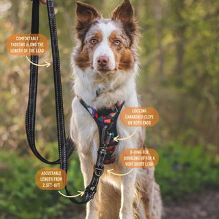 Twiggy Tags Trailfinder Multiway Lead Dog accessories Twiggy Tags