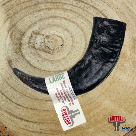 Buffalo Horn Dog Treat Nova