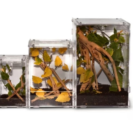 HabiStat Clear Home Reptile Housing HabiStat