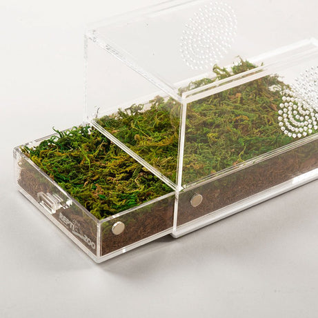 RZ Acrylic Case with Removable Tray, 203x102x102mm Reptile Housing Repti Zoo