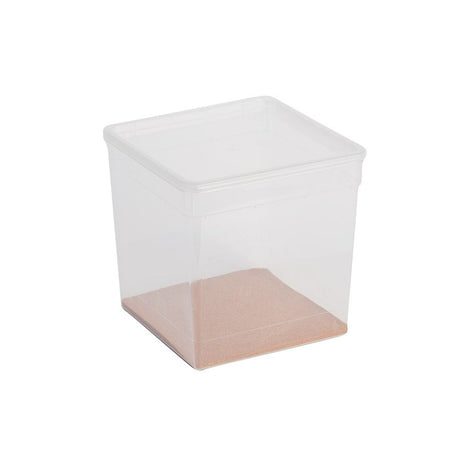 BraPlast Tall Square Box & Lid 5.8L Reptile Acessories Braplast