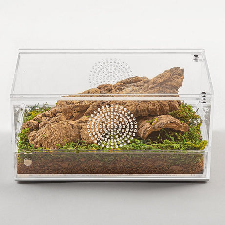 RZ Acrylic Case with Removable Tray, 203x102x102mm Reptile Housing Repti Zoo
