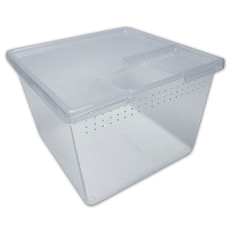 Braplast Square Container w/Flip Lid 24oz Reptile Housing Peregrine Livefoods