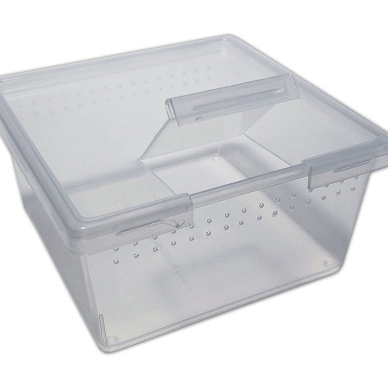 Braplast Square Container w/Flip Lid 7oz Reptile Housing Peregrine Livefoods