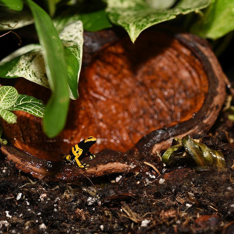 HabiStat Sculta Pod Reptile Decor HabiStat