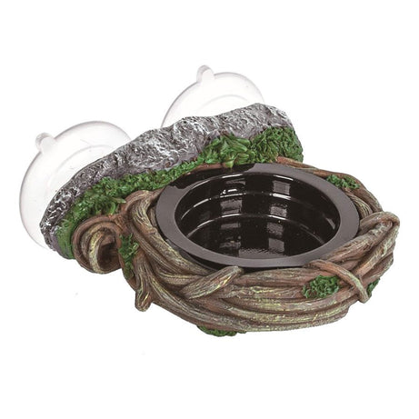 RZ Magnetic Arboreal Feeder Vine 10x10cm Reptile Food Bowl Repti Zoo