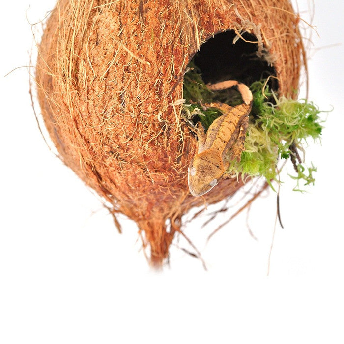 HabiStat Arboreal Hide Reptile Decor HabiStat