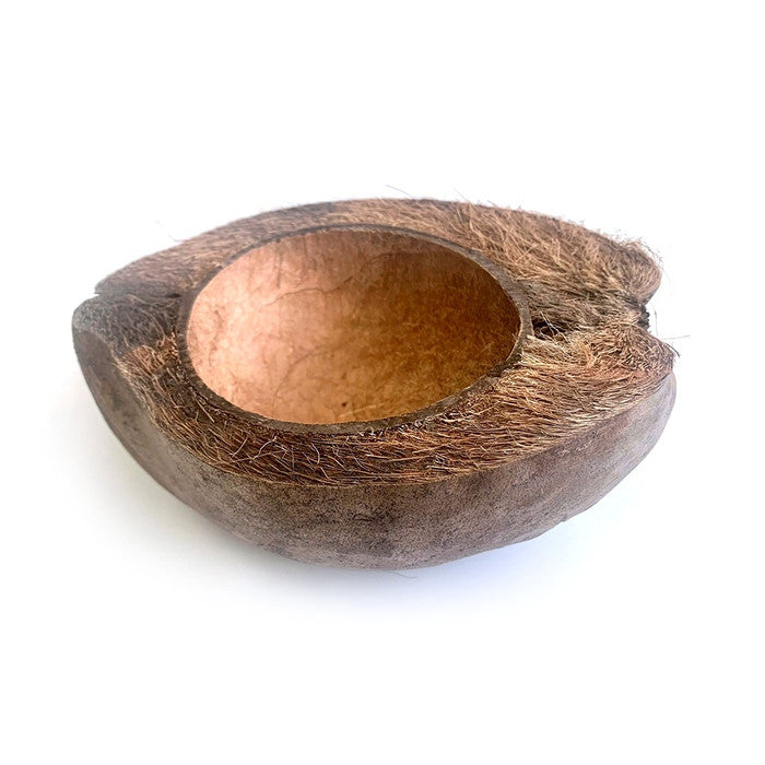 HabiStat Coco Bowl Reptile Decor HabiStat