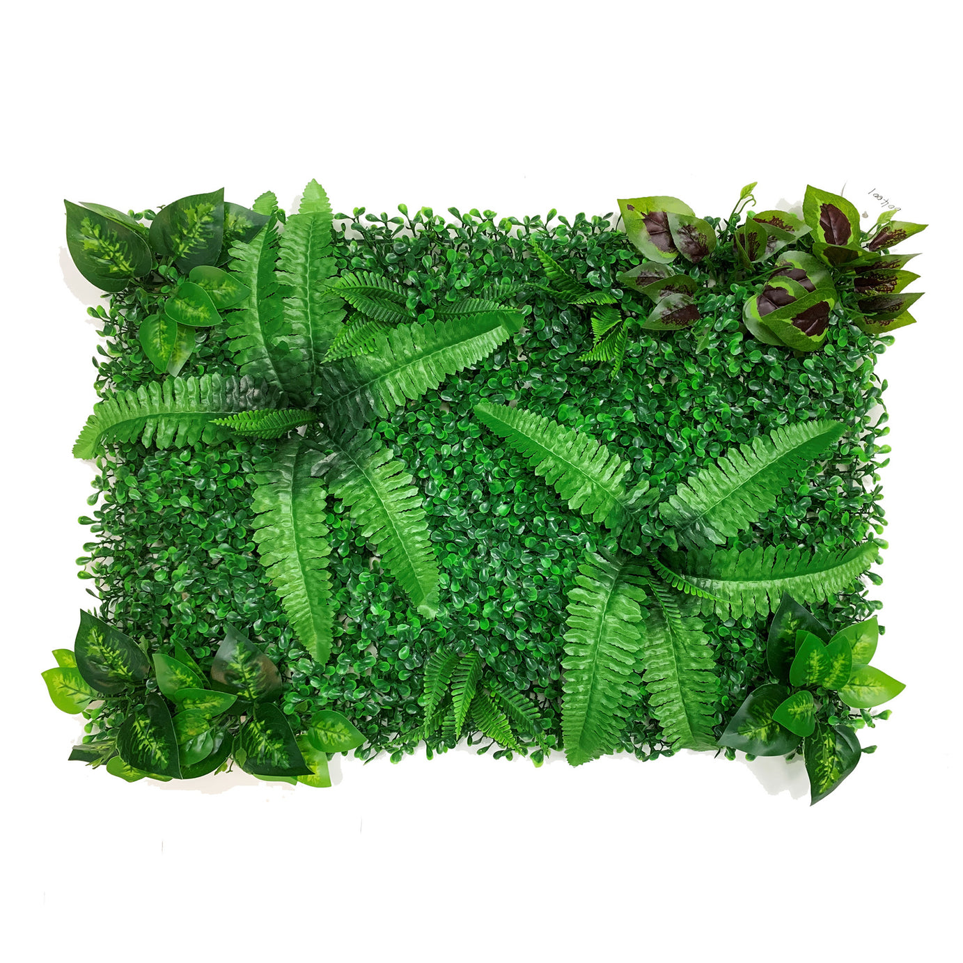 Betta Terra Twin Fern Garden Mat 40cm x 60cm Reptile Decor Betta