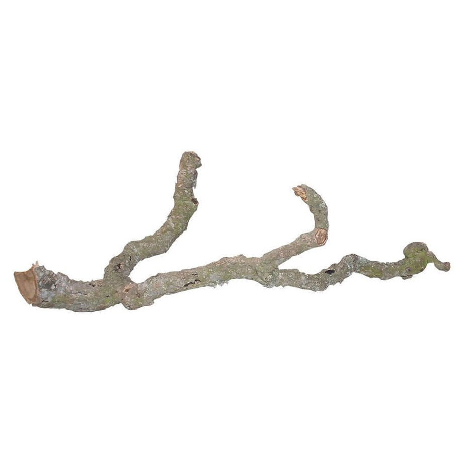 LR Tronchos Branches Reptile Decor Lucky Reptile