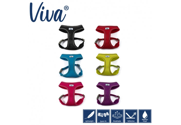 VIVA COMFORT DOG HARNESS Dog accessories Ancol