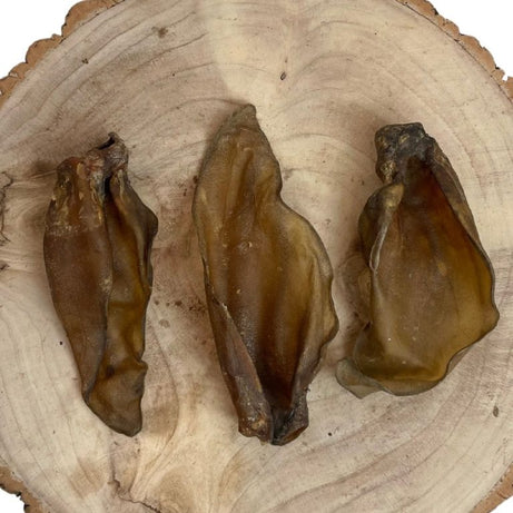 Large Buffalo Ears - Single Dog Treat Nova