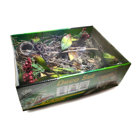 LR Life Experience Deco Set Mantis Reptile Decor Lucky Reptile