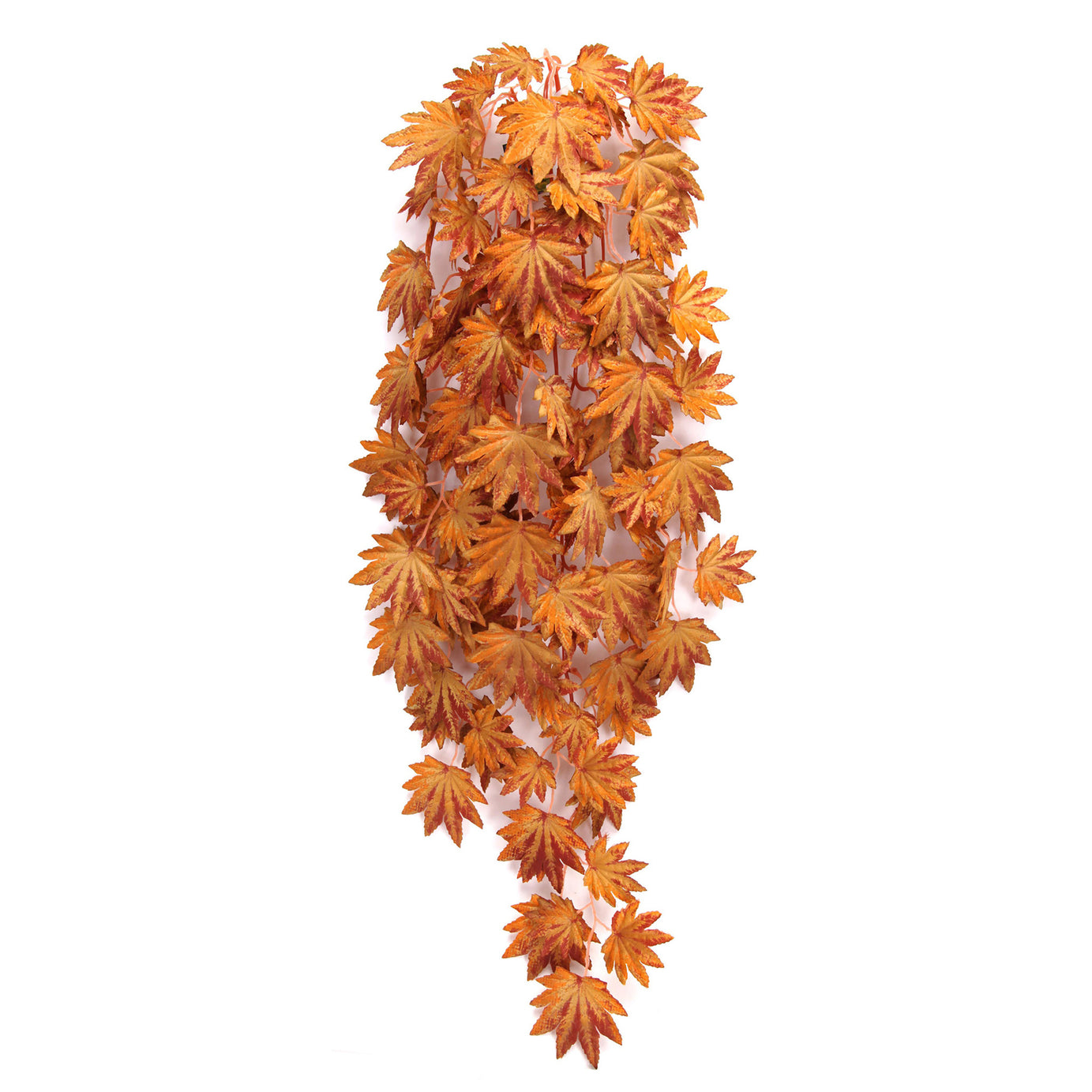 Betta Terra Orange Terrarium Vine 70cm Reptile Decor betta