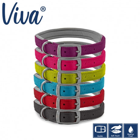 PADDED VIVA COLLAR Dog accessories Ancol